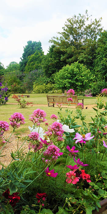 Flower in gardens